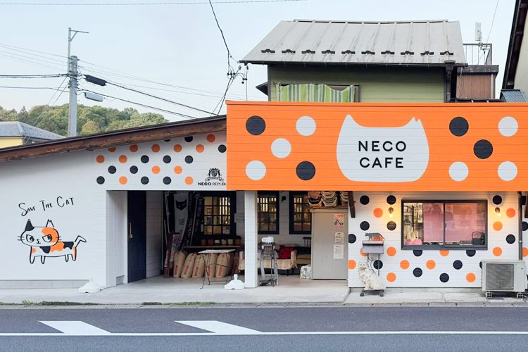 持続可能な猫との豊かな暮らし 