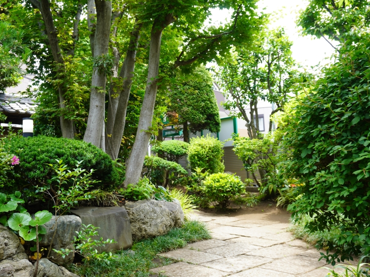 初代店主の康子さんが毎朝手入れをする庭 