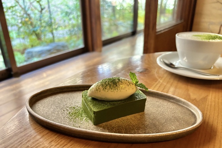 庭木の緑が美しい板の間 