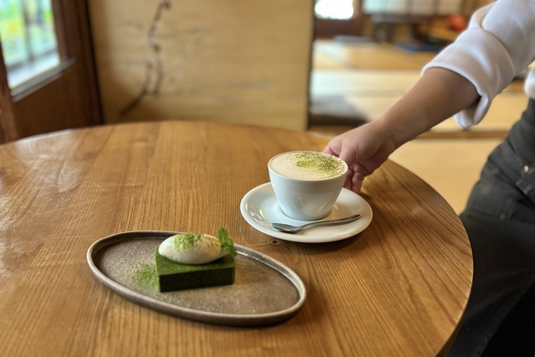 「濃厚抹茶テリーヌ」と「抹茶ラテ」は人気の組み合わせ