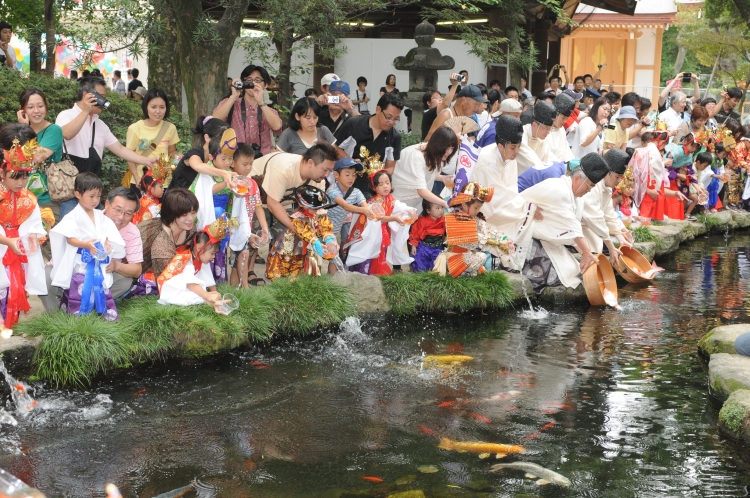 神職や子どもたちが稚魚を水辺に放つ放生の様子 